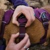 Ruffwear Web Master monitoimivaljaat, violetti