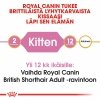 Royal Canin British Shorthair Kitten, 2 kg