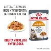 Royal Canin Hair & Skin Care Jelly, 12x85g