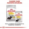 Royal Canin Dermacomfort wet 12 x 85 g