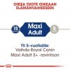 Royal Canin Maxi Adult