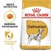 Royal Canin Dalmatian Adult 12 kg