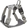 Koiran valjaat FA Training, harmaa