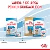 Royal Canin Medium Starter