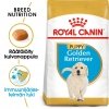 Royal Canin Golden Retriever Puppy 12 kg