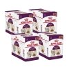 Royal Canin Sensory Taste Gravy 85g, 48-pack