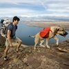 Ruffwear koiran reppu Palisades Pack, punainen