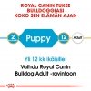 Royal Canin Bulldog Puppy 12 kg