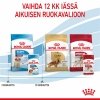 Royal Canin Medium Puppy Wet 10x140g