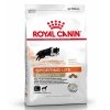 royal canin 4100