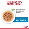 Royal Canin Mini Puppy Wet 12 x 85 g