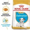 Royal Canin Breed Dalmatian Puppy