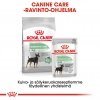 Royal Canin Digestive Care wet 12 x 85 g