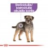 Royal Canin Sterilised wet 12 x 85 g
