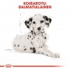 Royal Canin Breed Dalmatian Puppy