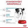 Royal Canin Mini Puppy