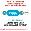 Royal Canin Breed Dalmatian Puppy