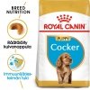 Royal Canin Cocker Puppy 3 kg