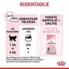 Royal Canin Mother & babycat, 195 g