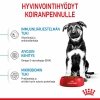Royal Canin Maxi Puppy