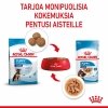 Royal Canin Maxi Puppy Wet 10x140g