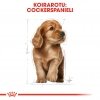 Royal Canin Cocker Puppy 3 kg