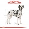 Royal Canin Dalmatian Adult 12 kg