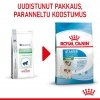 Royal Canin Mini Starter