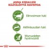 Royal Canin Outdoor 7+