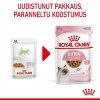Royal Canin Kitten Gravy, 12x85g