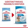 Royal Canin Medium Starter