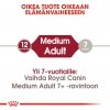 Royal Canin Medium Adult