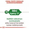 Royal Canin Mini Ageing Wet 12 x 85 g