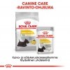 Royal Canin Mini Dermacomfort
