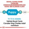 Royal Canin Cavalier Puppy 1,5 kg