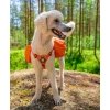 Ruffwear Approach Pack reppu koiralle, oranssi