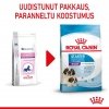 Royal Canin Giant Starter, 15 kg