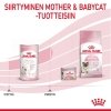Royal Canin Babycat Milk, 300 g