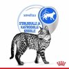Royal Canin Indoor Gravy 12 x 85 g