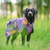 PerusPomppa koiran takki, Cosmos