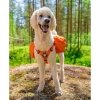 Ruffwear Approach Pack reppu koiralle, oranssi