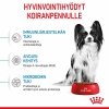 Royal Canin X-Small Puppy