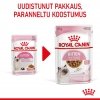 Royal Canin Kitten Gravy, 12x85g