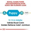 Royal Canin Golden Retriever Puppy 12 kg