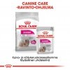 Royal Canin Exigent wet 12 x 85 g