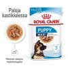 Royal Canin Maxi Puppy Wet 10x140g