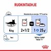 Royal Canin Indoor Gravy 12 x 85 g