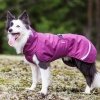 PerusPomppa koiran takki luumu