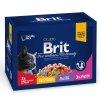 Brit Premium Multipack 12x 100g