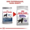 Royal Canin Maxi Sterilised, 12 kg